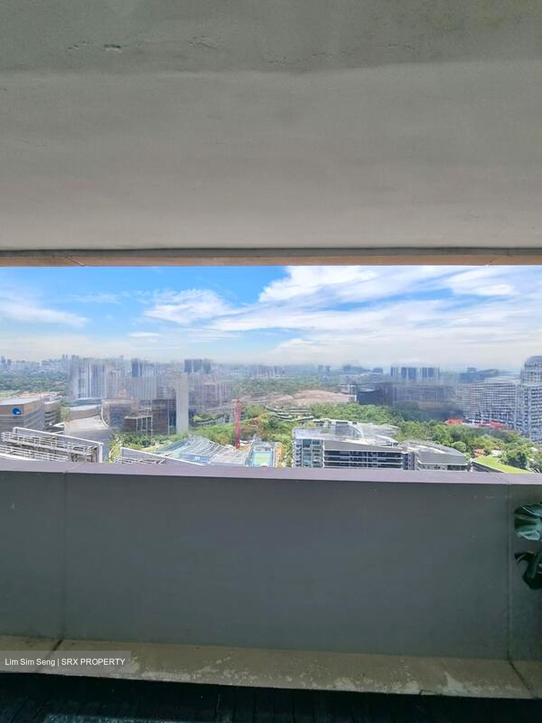 The Rochester Residences (D5), Apartment #450436411